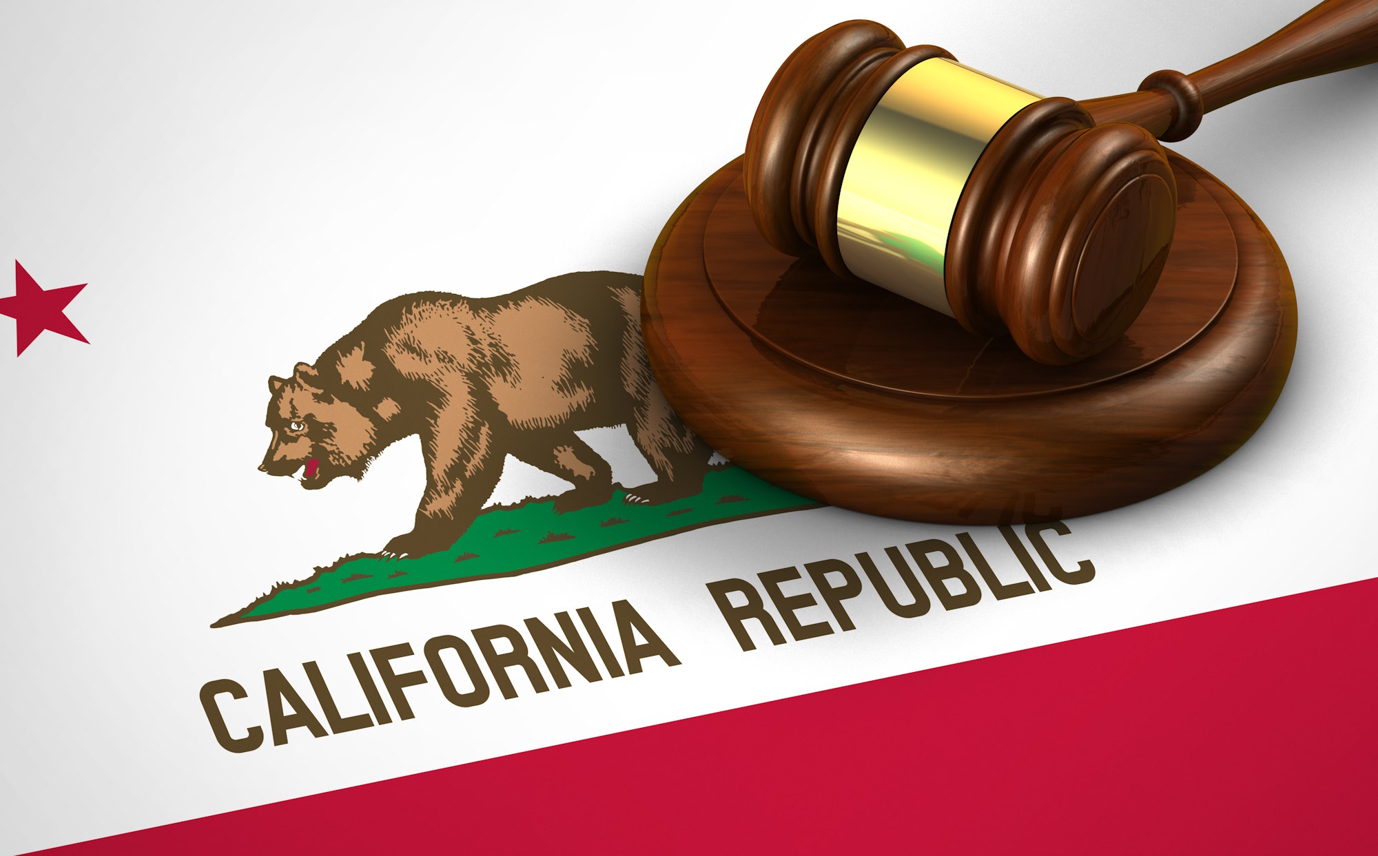 California state flag with a gavel on top